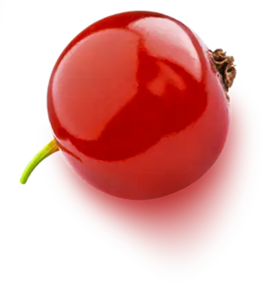 fruit rouge