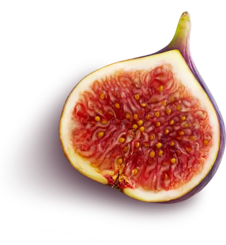 Figue