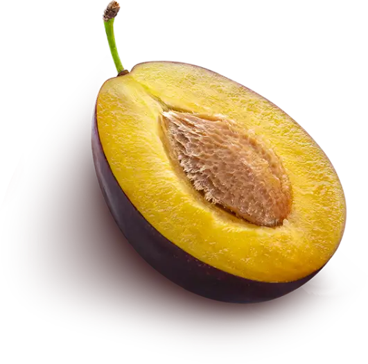 melon
